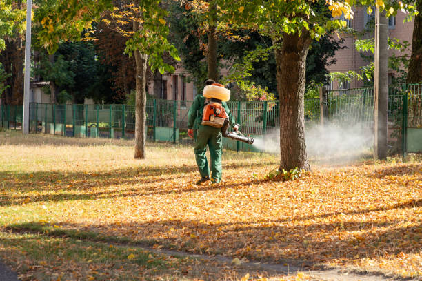 Wasp Removal Services in Logan, OH